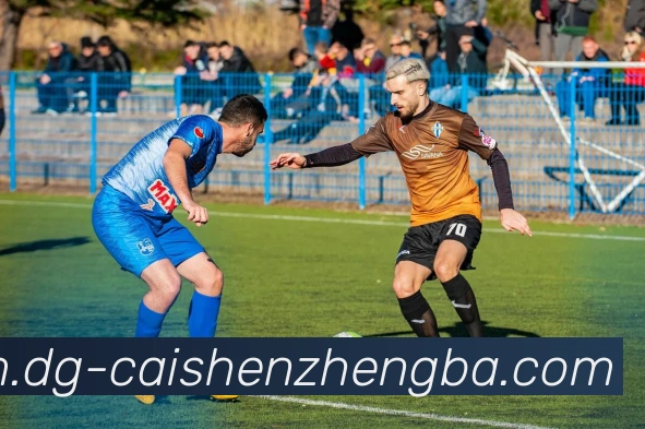 彩神争霸服务体系